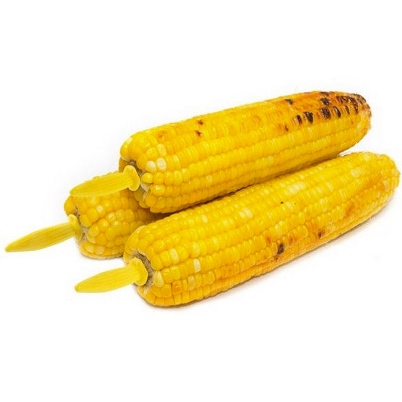 5/10PCS Stainless Steel Corn H - đánh giá và giá Home Cooking For Dogs
